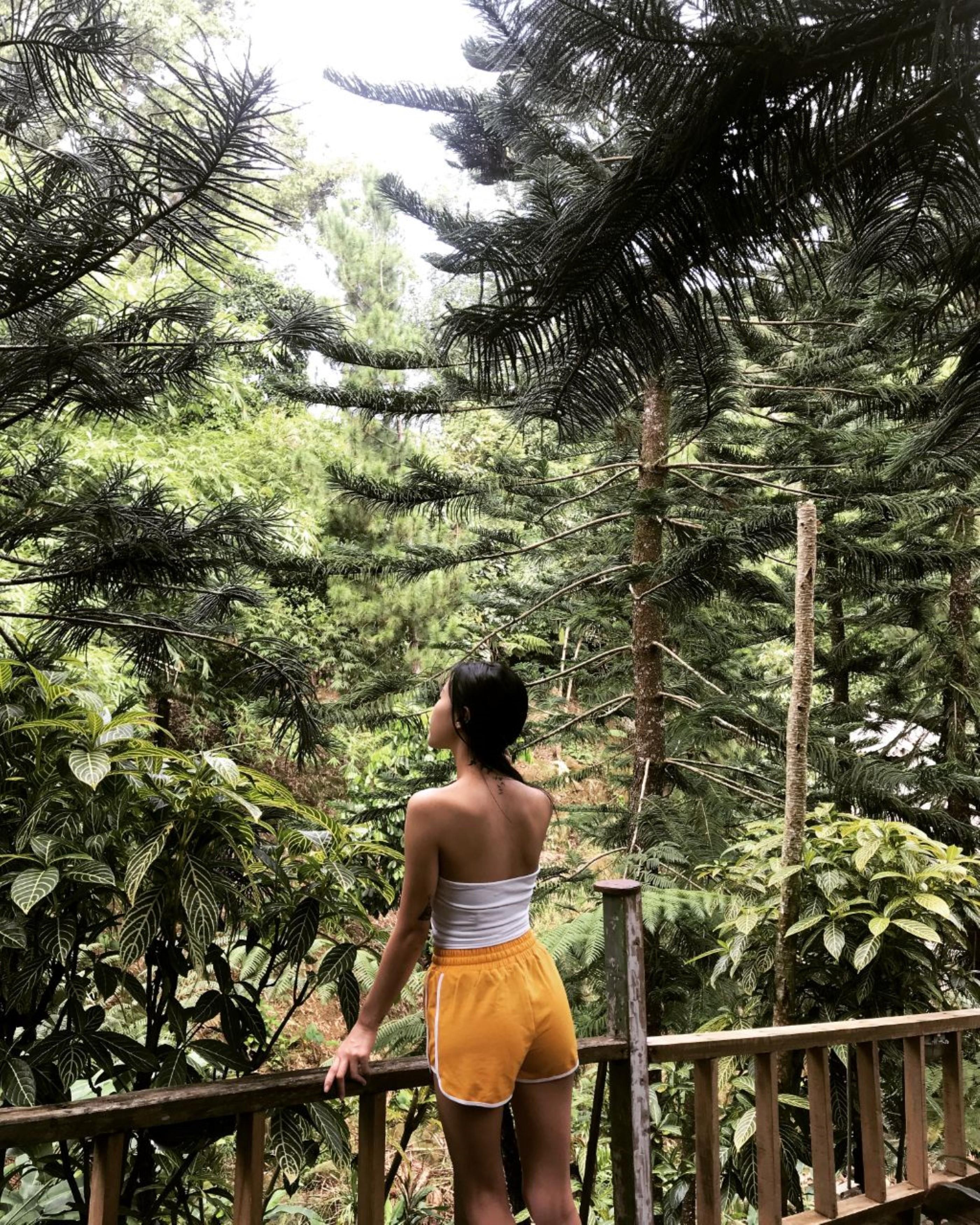 Fig Tree Hills Resort Bayan Lepas Ngoại thất bức ảnh