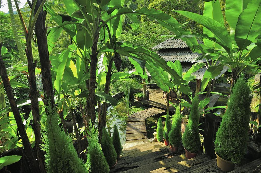 Fig Tree Hills Resort Bayan Lepas Ngoại thất bức ảnh