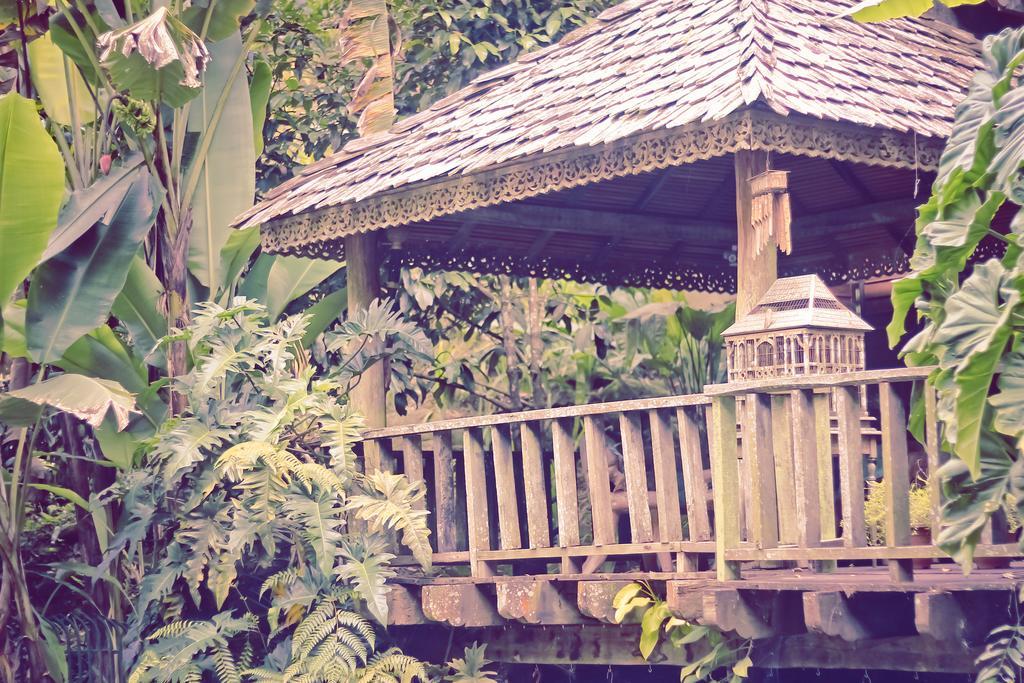 Fig Tree Hills Resort Bayan Lepas Ngoại thất bức ảnh